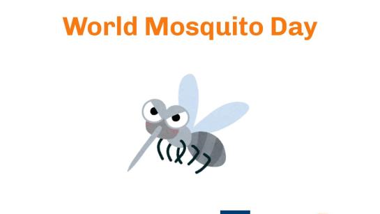 World Mostiquo Day