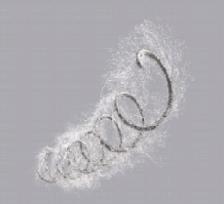 Embolisation par coil : exclusion